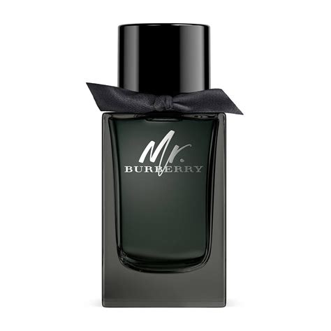 mr burberry uomo.note olfattive|mr burberry cologne.